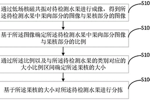 基于果核大小进行分拣的方法、装置、终端及存储介质