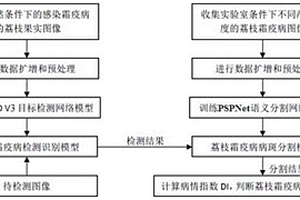 基于图像识别的荔枝霜疫病自动识别方法、系统和存储介质