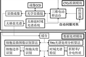 基于太赫兹光谱的循环肿瘤细胞筛查系统及方法