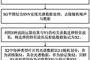 基于特征波长的高光谱柑橘叶片病害识别方法