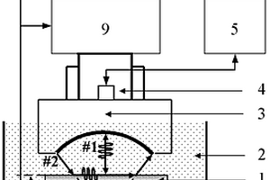 各向异性材料表面波非接触式波速提取的方法