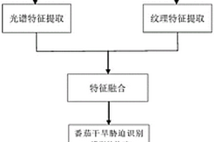 番茄干旱胁迫的识别方法