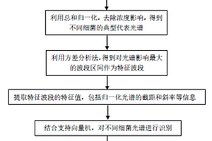 水体细菌的定性与定量方法