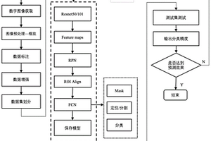基于深度学习的冰鲜鲳鱼新鲜度快速分级方法