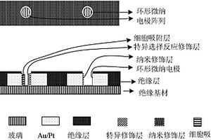 微纳阵列传感器及其制备方法