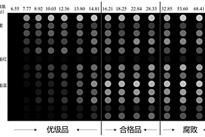 用于指示海水鱼新鲜度的基于阳极铝氧化膜比色阵列传感标签的制备方法及其应用