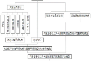 基于近红外光谱的草莓感官品质等级评价方法