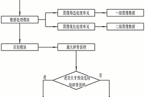 识别肉块中危险级碎骨的系统及方法