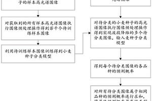 基于数据增强与注意力机制的小麦种子分类方法