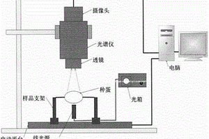 基于高光谱图像对鸡种蛋孵化早期胚胎性别鉴定的方法