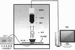基于高光谱图像对白萝卜糠心鉴定的方法