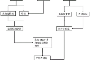 杏果实品质多尺度表型方法