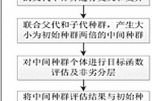 基于双目标遗传算法和非劣分层的超声无损检测探头分布优化