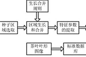 结合图像和计算模型的茶叶嫩芽形态的三维重建方法