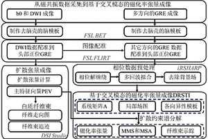 基于交叉模态的人脑磁化率张量成像方法