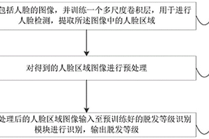脱发等级识别方法和系统