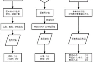 基于机器视觉的多指标百香果品质分级方法