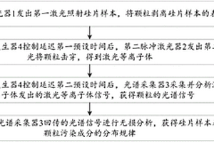 硅片表面颗粒污染成分无损快速在线检测方法及系统