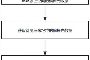 基于偏振光技术的稻米籽粒新陈度无损定量检测方法及其系统