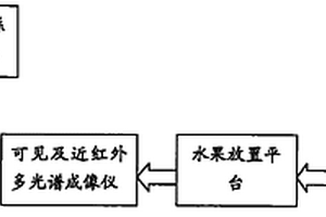 基于多光谱成像技术的水果品质无损检测系统