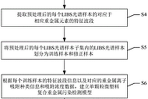 基于LIBS的单颗粒微塑料复合重金属污染的无损检测方法