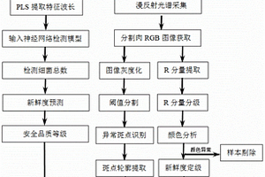 基于图谱融合技术的羊肉安全品质在线快速无损检测生产线