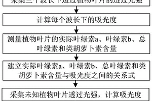 无损快速检测植物叶片中叶绿素和类胡萝卜素含量的方法