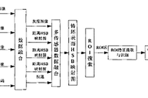 高温连铸坯表面缺陷形态及深度在线无损检测方法