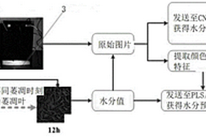 红茶萎凋程度指标的无损检测方法