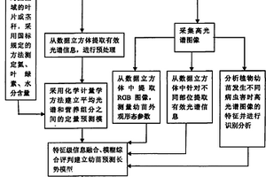 植物幼苗综合性状活体无损检测方法