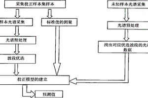 植物叶片生理指标无损检测方法