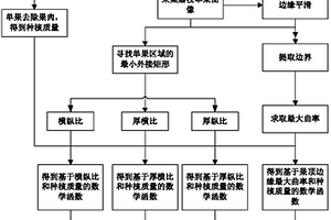 荔枝种核质量的无损检测方法