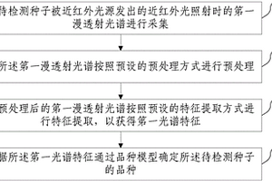 种子单籽粒无损检测方法及系统