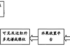 基于多光谱成像技术的水果品质无损检测方法与系统