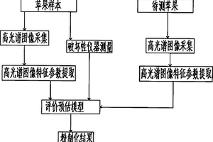 利用高光谱图像技术进行苹果粉质化无损检测方法