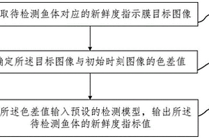 鱼类新鲜度无损检测方法及装置