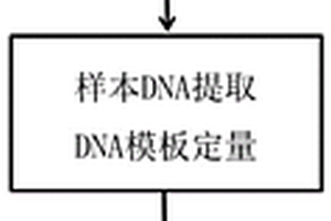 植物根癌病快速无损检测方法
