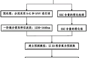香蕉可溶性固形物含量的可见/近红外光谱无损检测方法