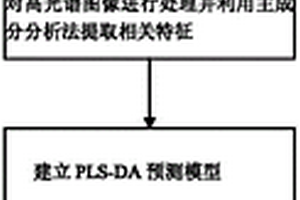 无损检测冬虫夏草原草真伪的方法