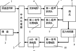 西瓜成熟度超声无损检测装置