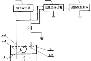 水果成熟度的无损伤检测仪