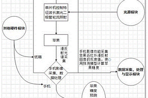 苹果糖度无损检测装置及其方法