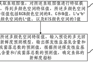 鱼体新鲜度无损检测方法及装置