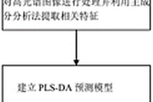 无损检测冬虫夏草子座真伪的方法