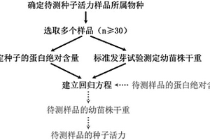 快速无损检测作物种子活力的方法