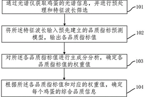 鸡蛋综合品质无损检测方法及装置