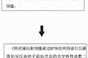 用于桃子皮下隐性损伤无损检测方法