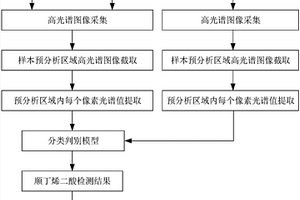 基于高光谱图像技术进行淀粉中顺丁烯二酸的无损检测方法