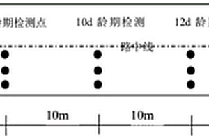 半刚性基层强度和板体性无损检测与质量评价的方法