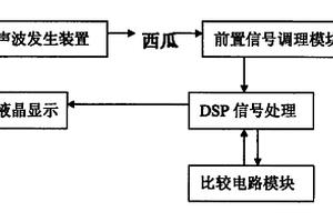 手持式西瓜成熟度无损检测仪